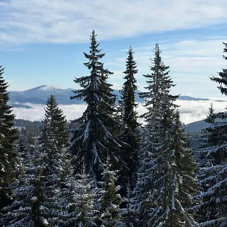 Apartamento Wild Luxury Pamporovo *